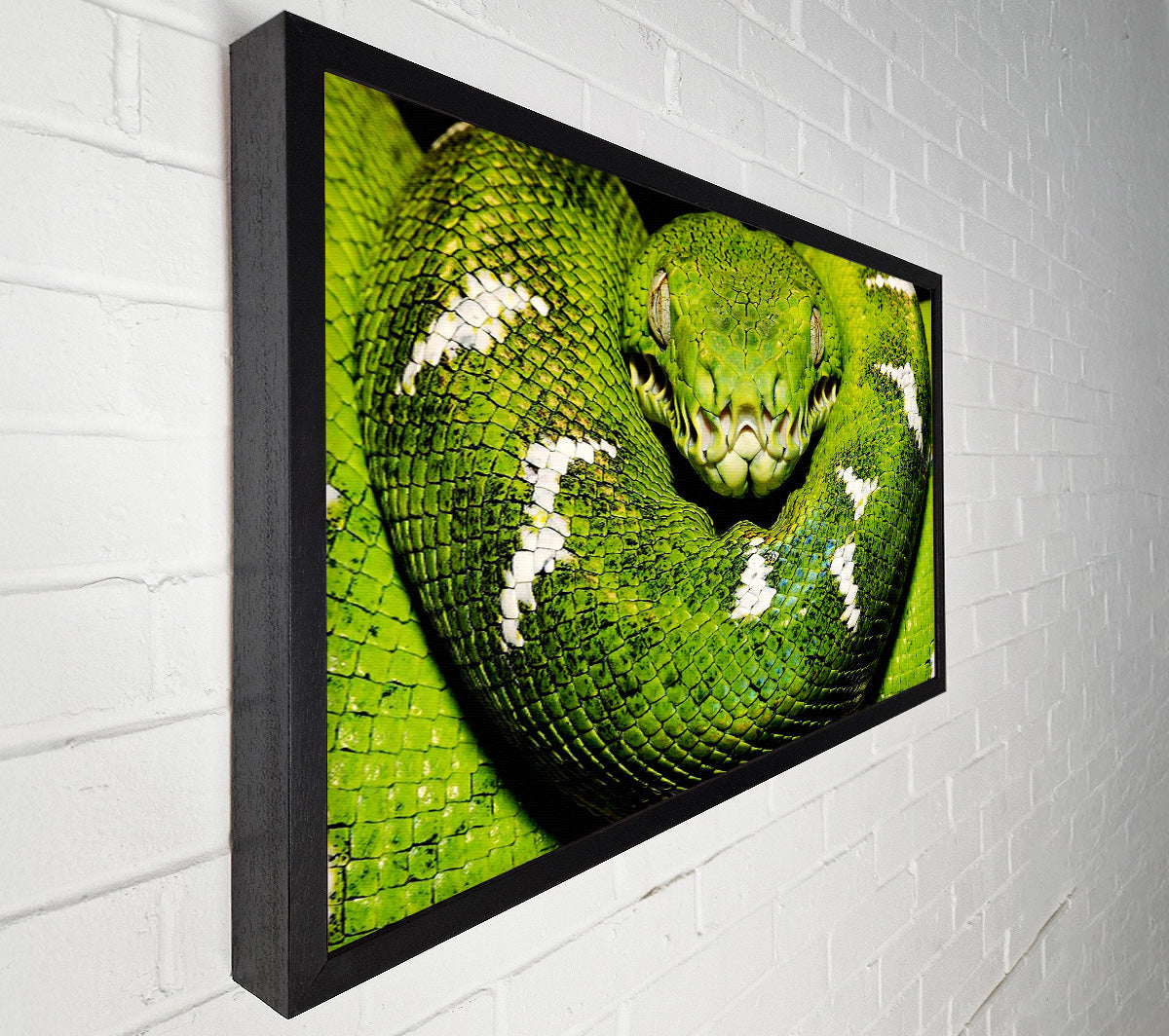 The Serpent Canvas Wall Art