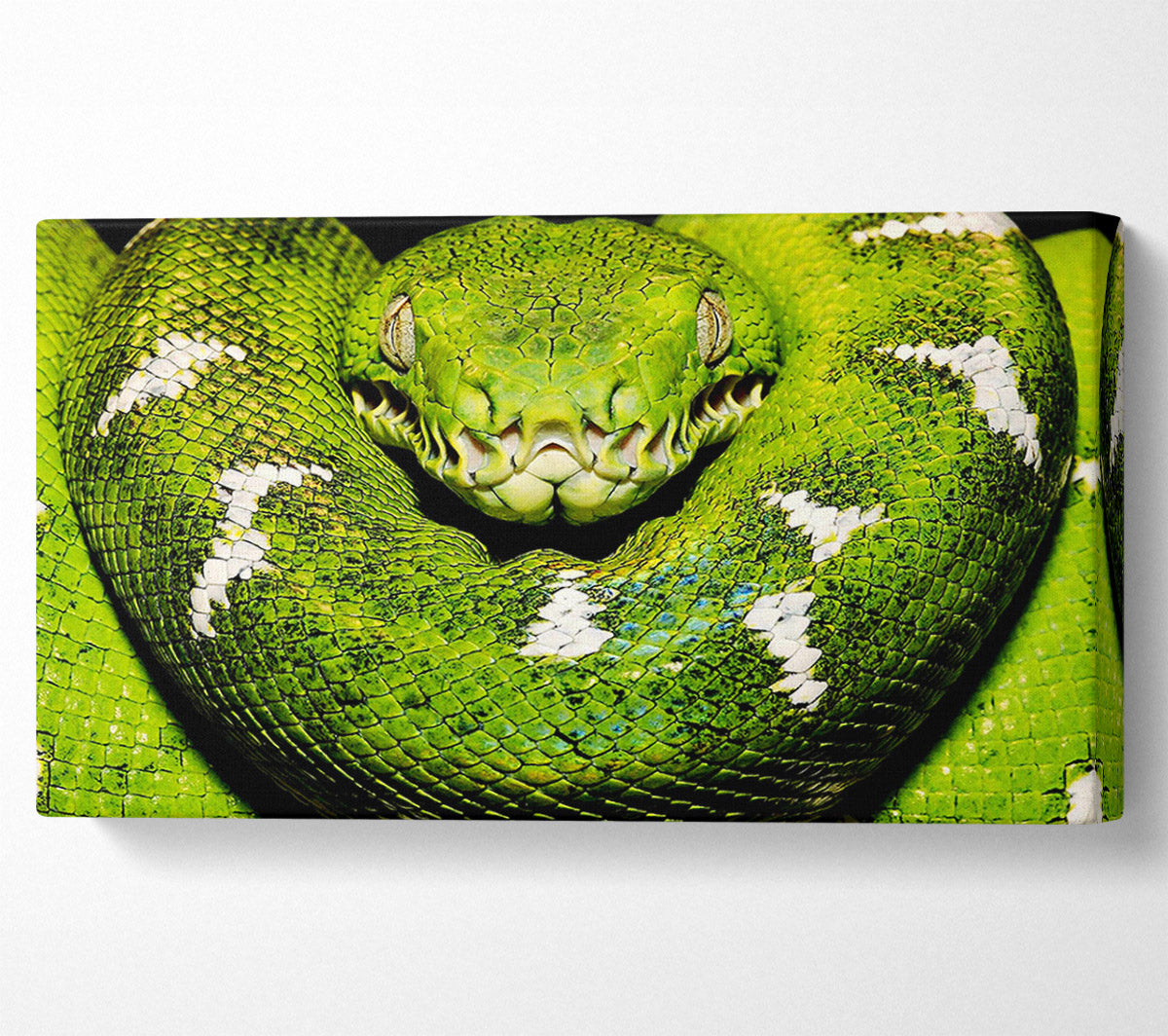 The Serpent Canvas Wall Art