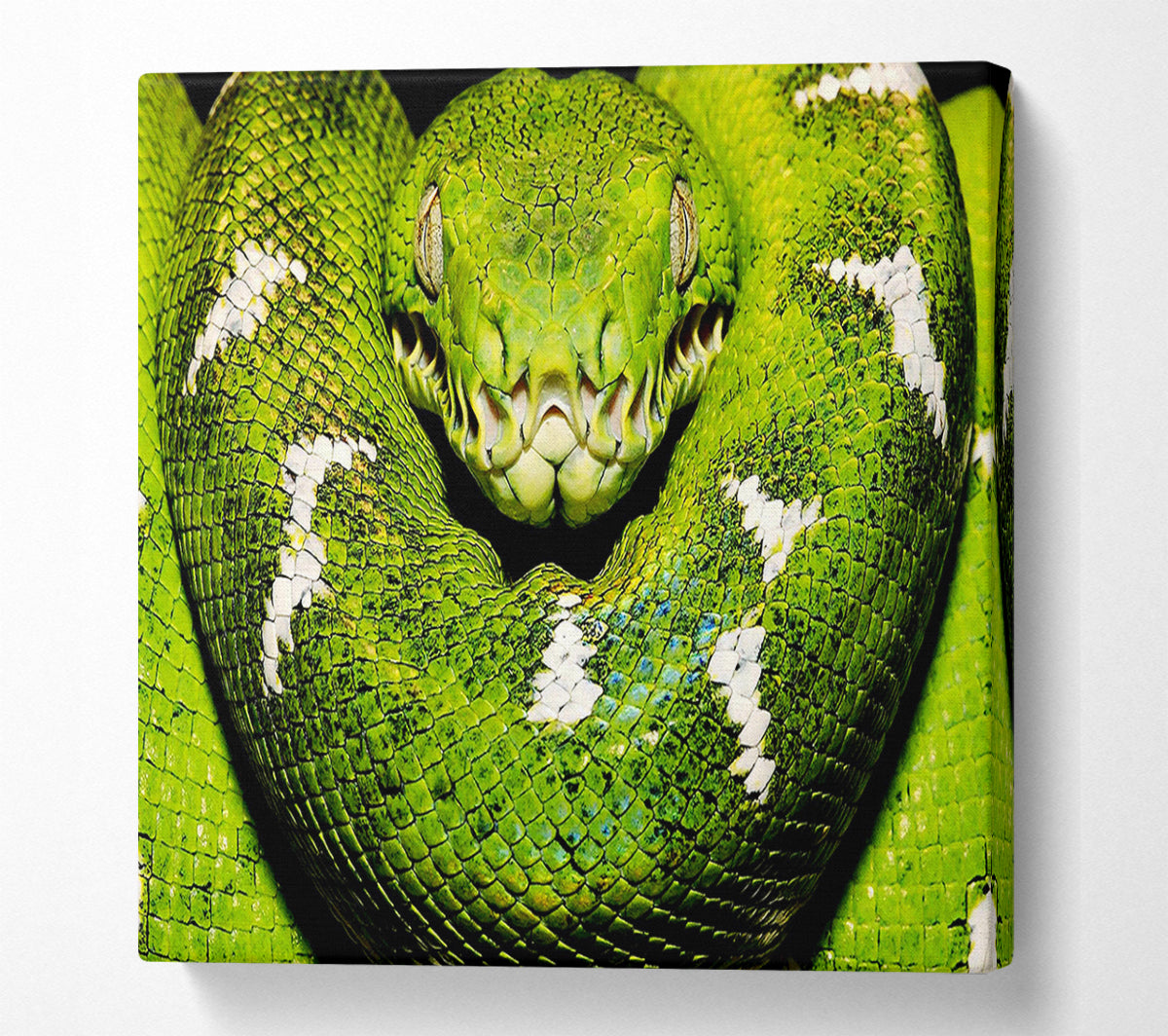 The Serpent Canvas Wall Art