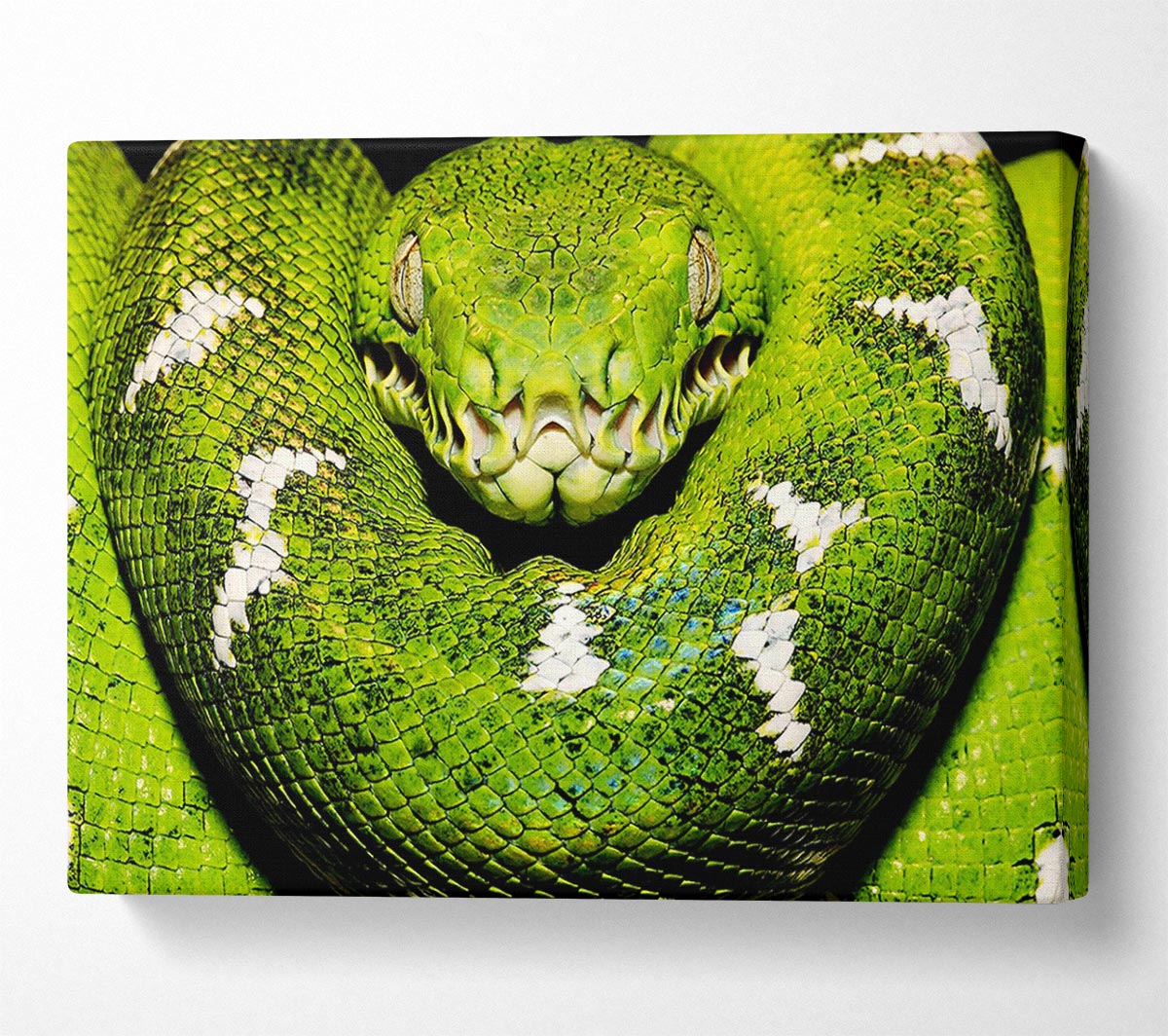 The Serpent Canvas Wall Art