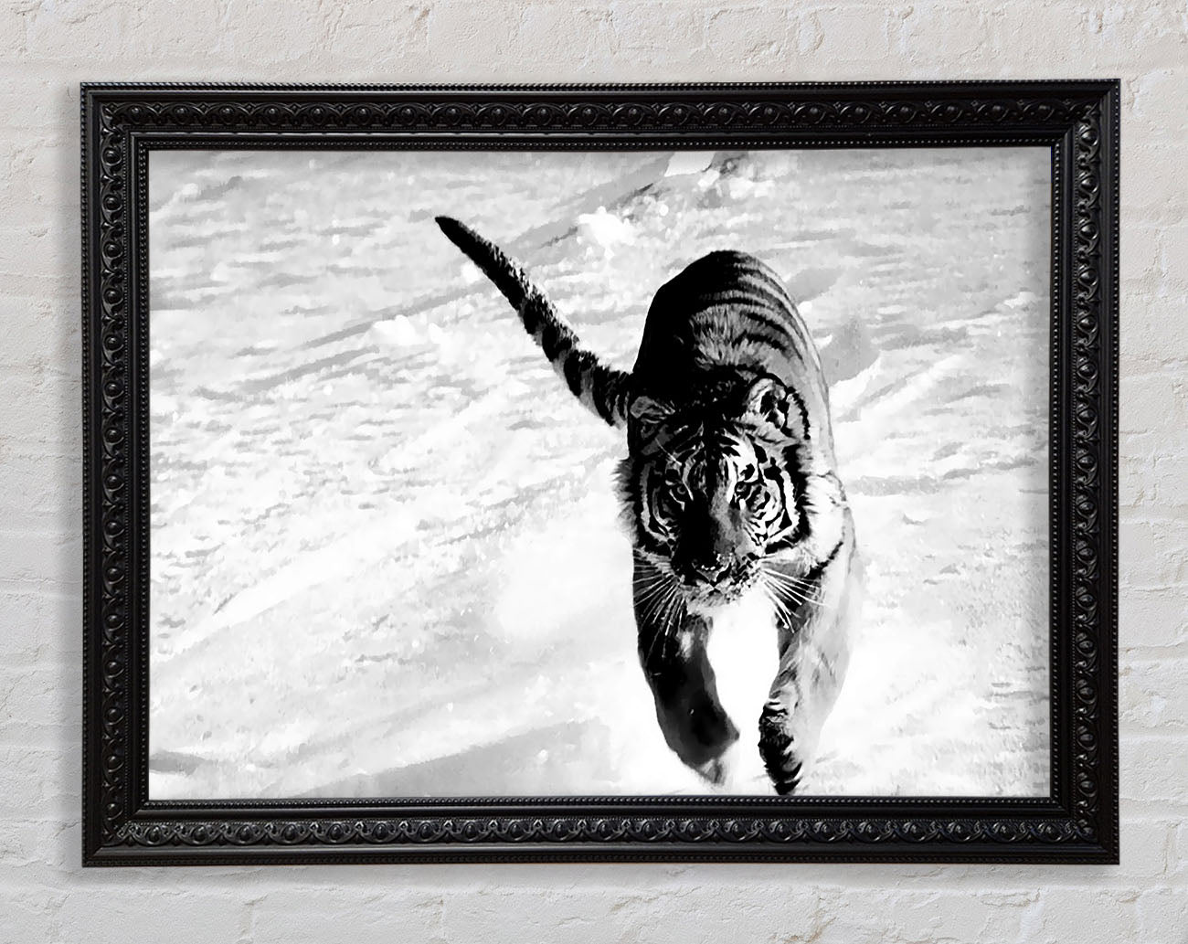 Tiger Running In Snow Framed Print