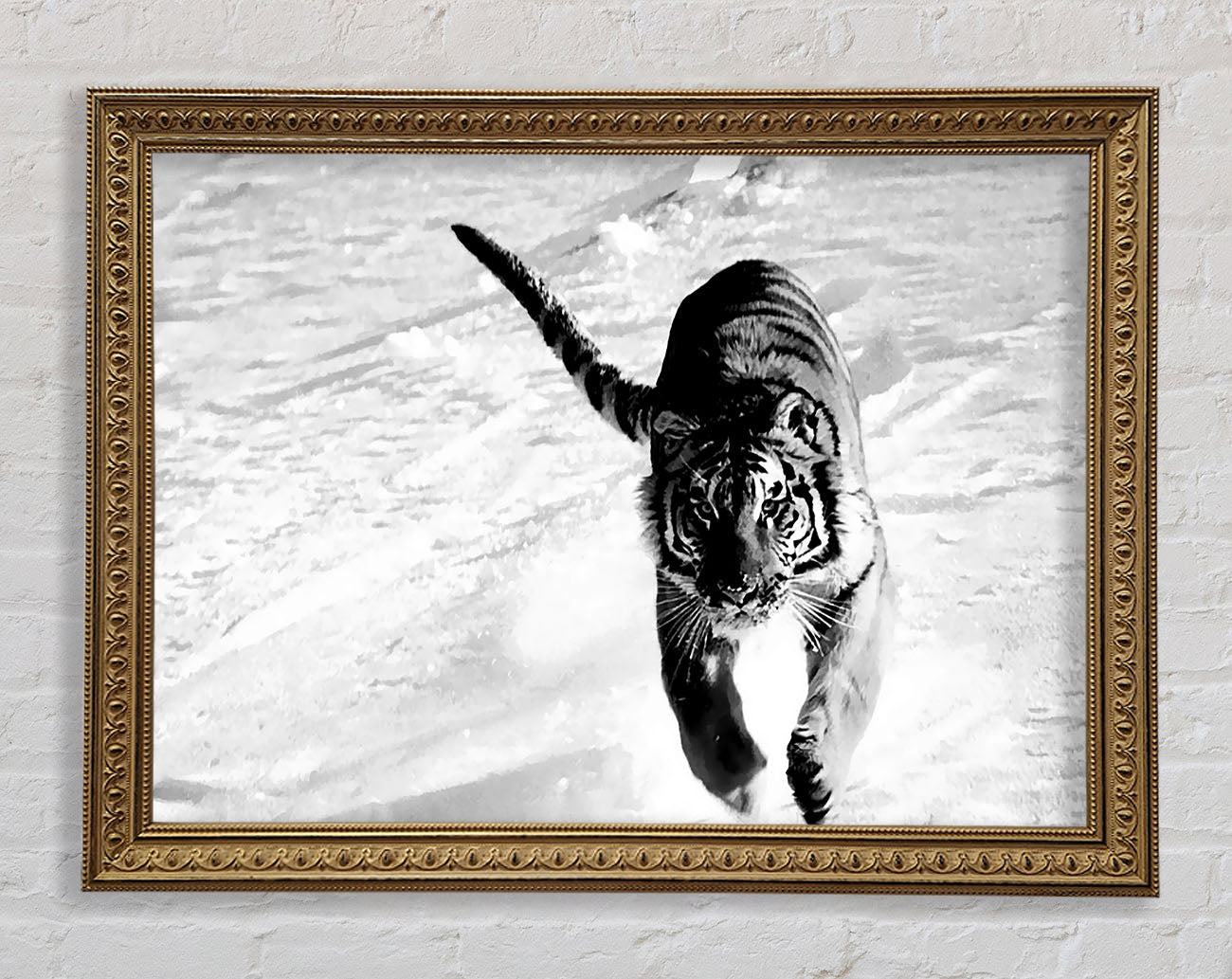 Tiger Running In Snow Framed Print