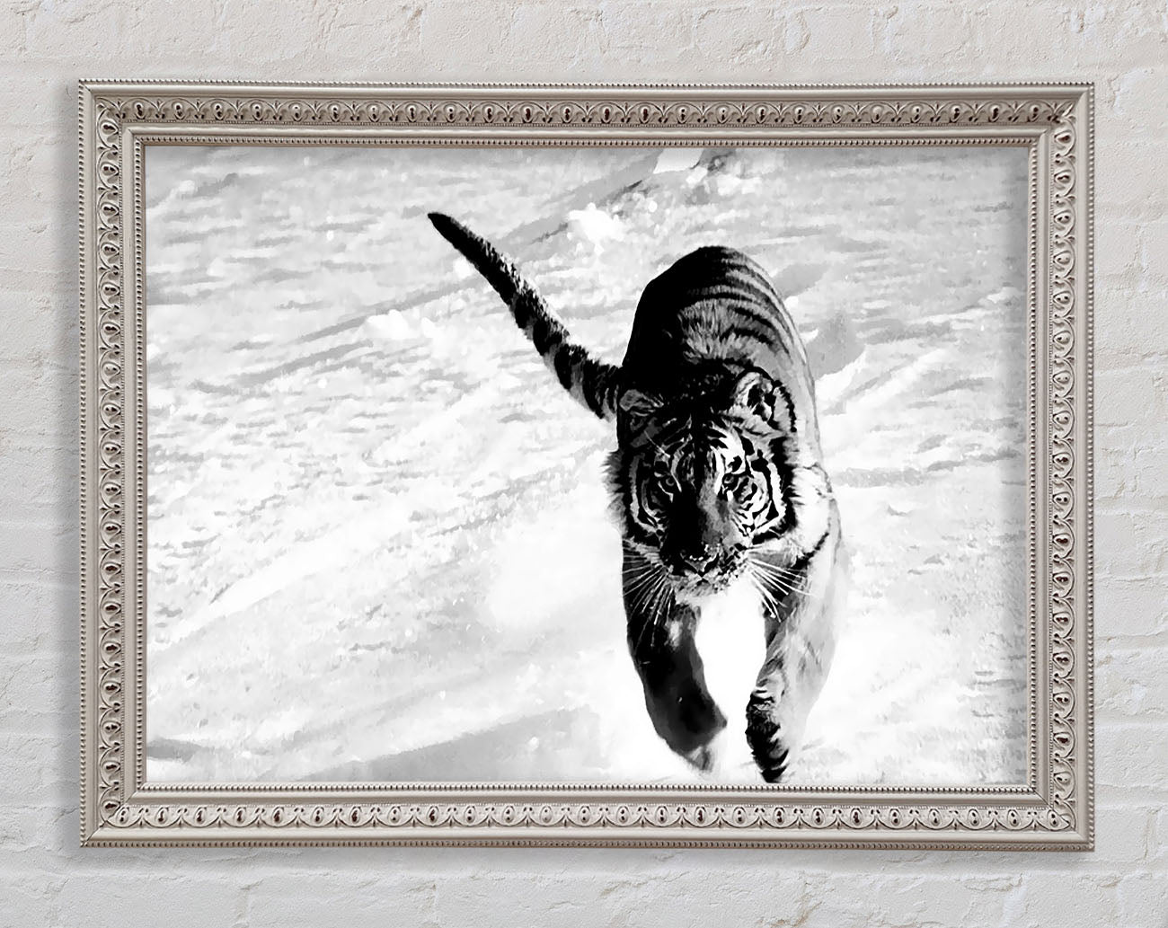 Tiger Running In Snow Framed Print
