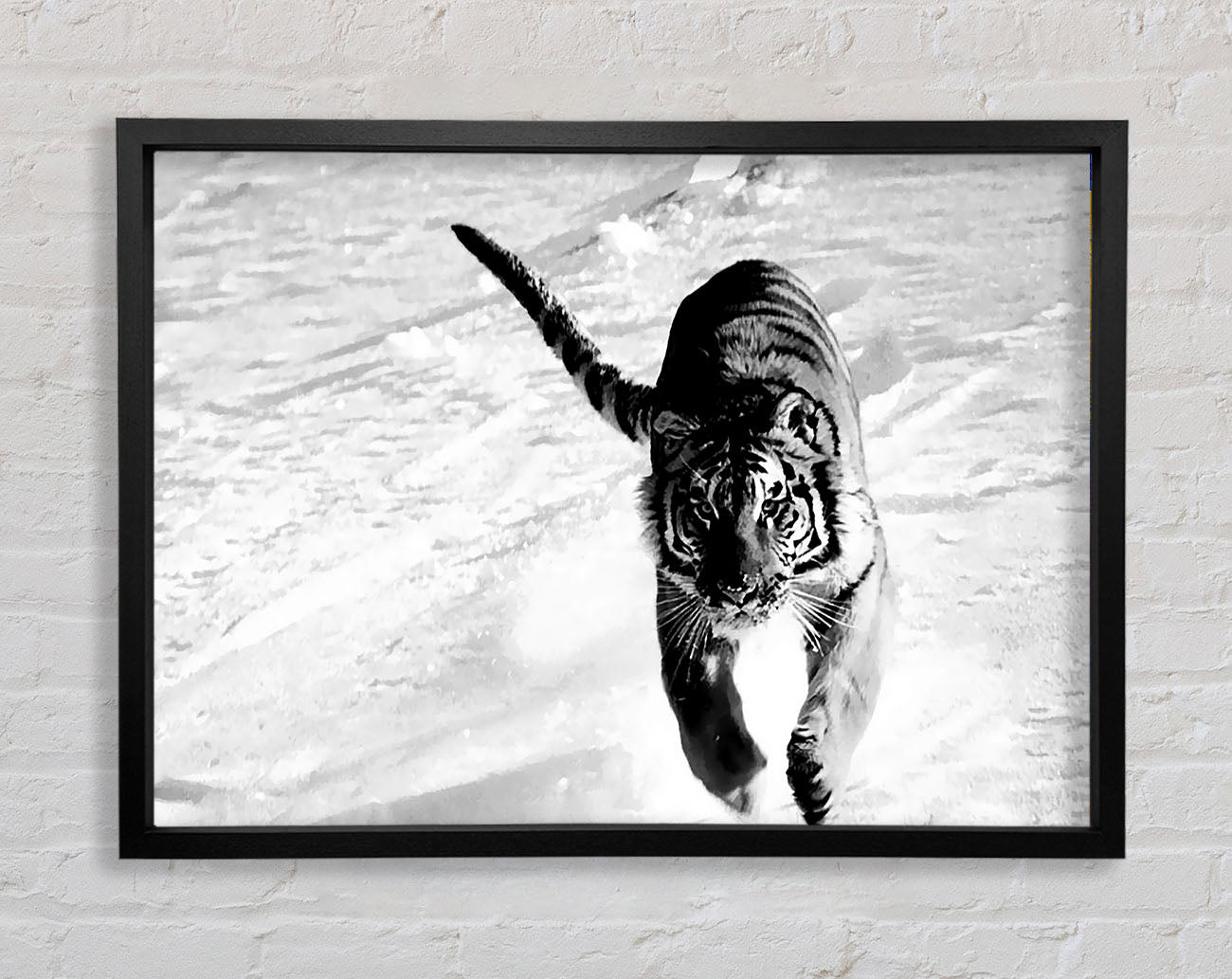 Tiger Running In Snow Framed Print