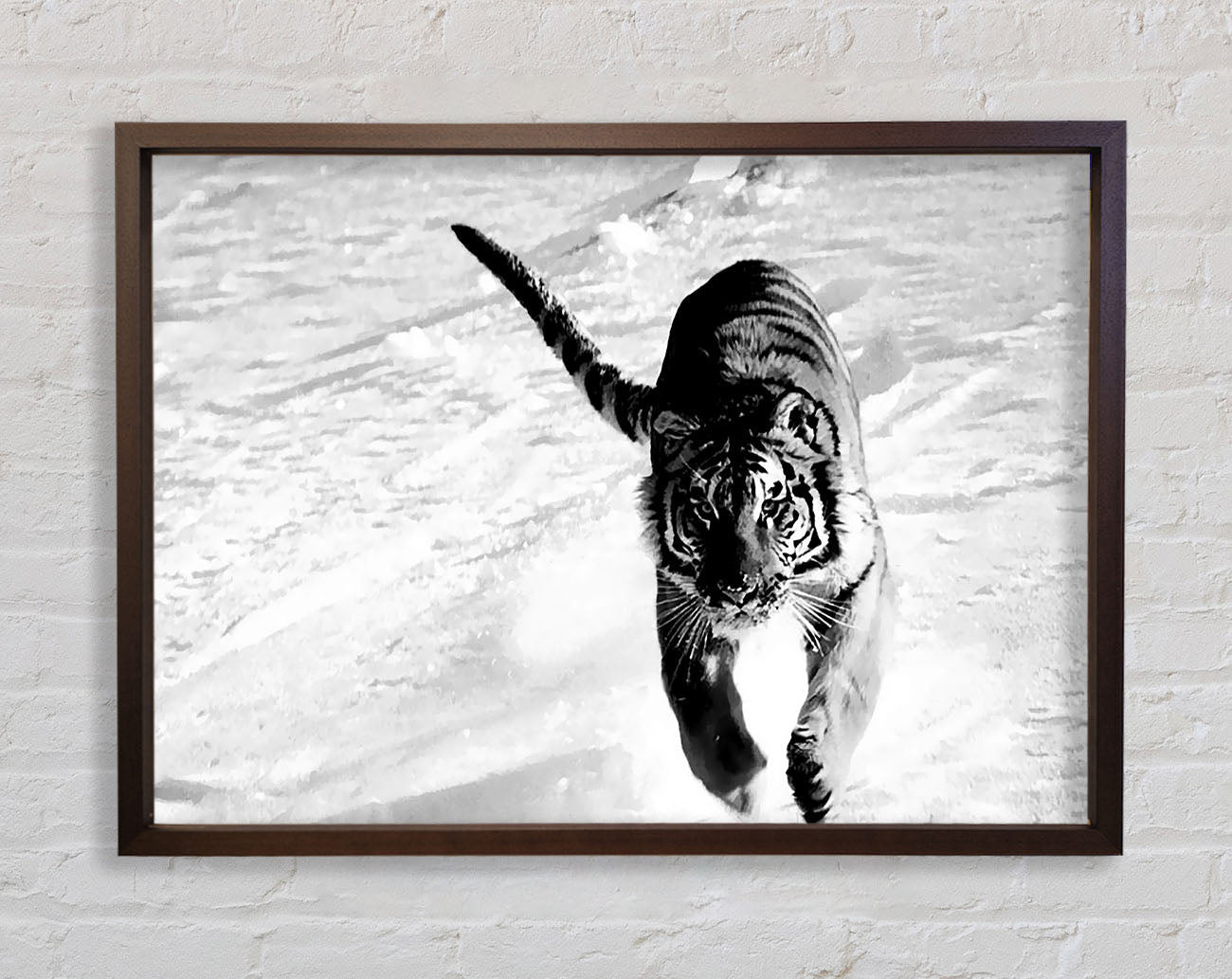 Tiger Running In Snow Framed Print