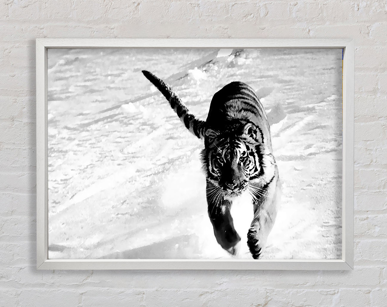 Tiger Running In Snow Framed Print