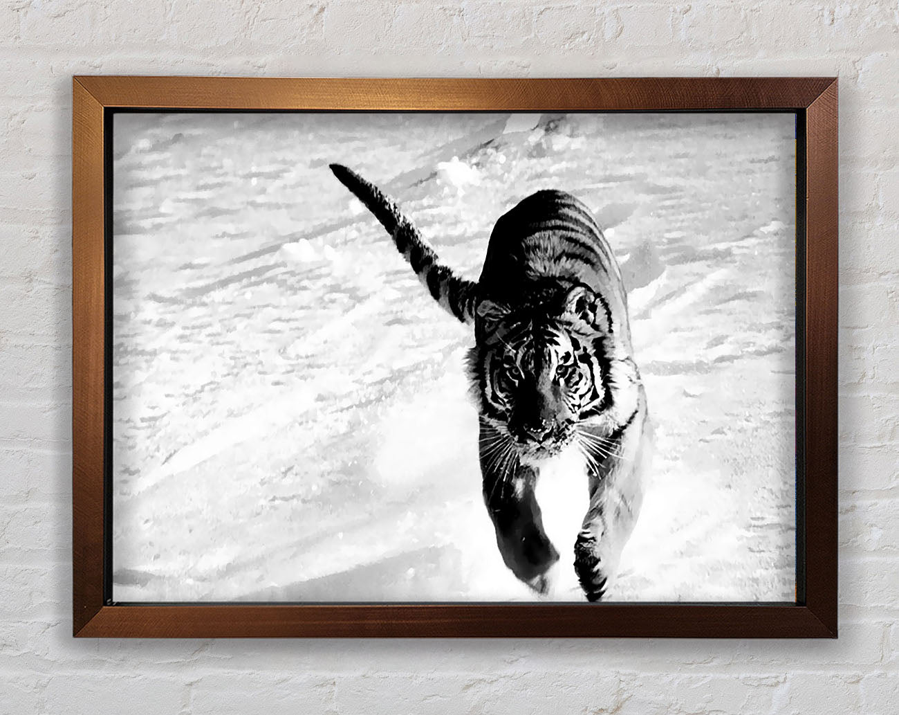 Tiger Running In Snow Framed Print