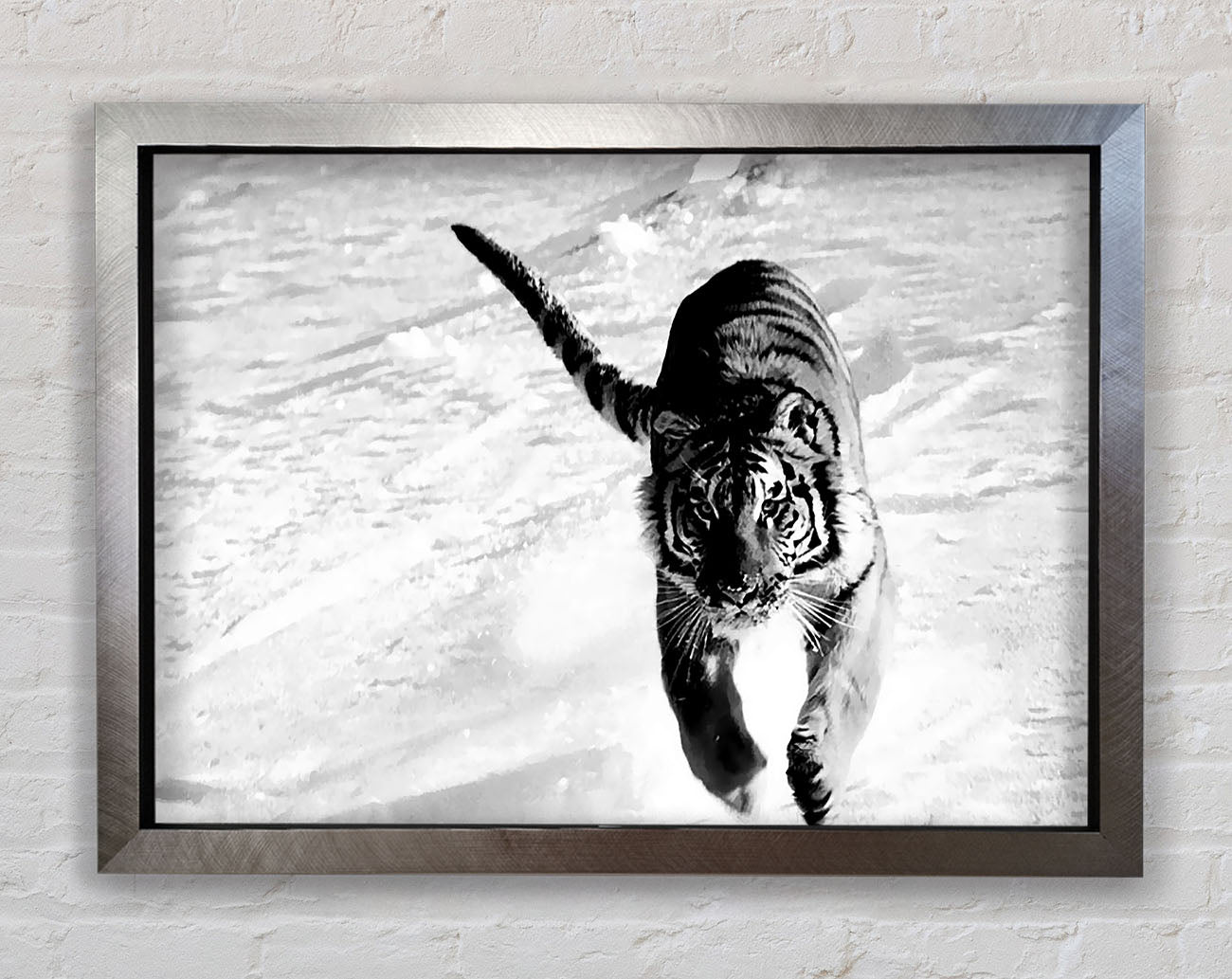 Tiger Running In Snow Framed Print
