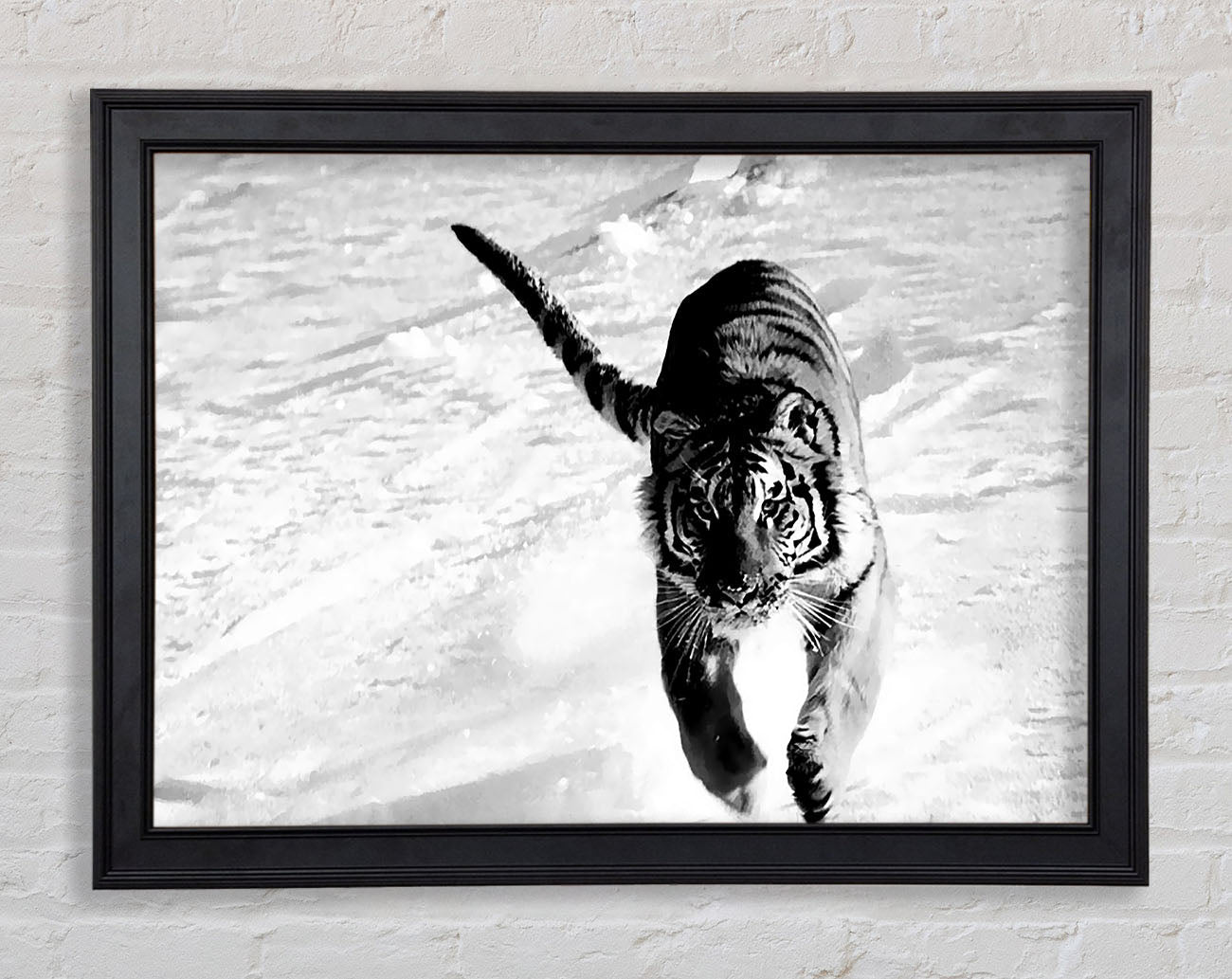 Tiger Running In Snow Framed Print
