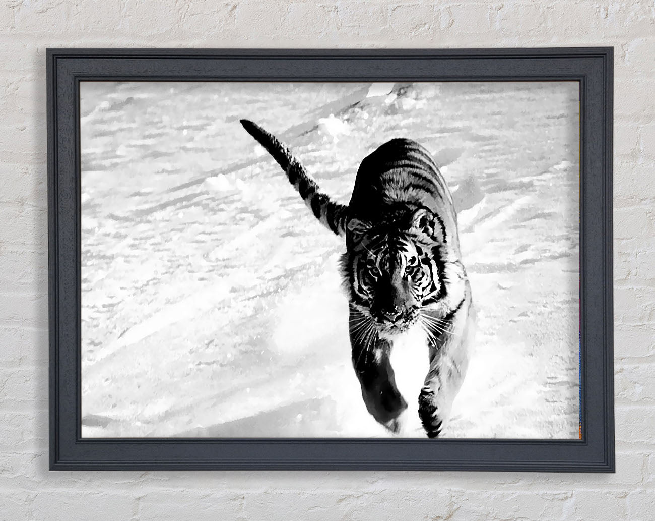 Tiger Running In Snow Framed Print