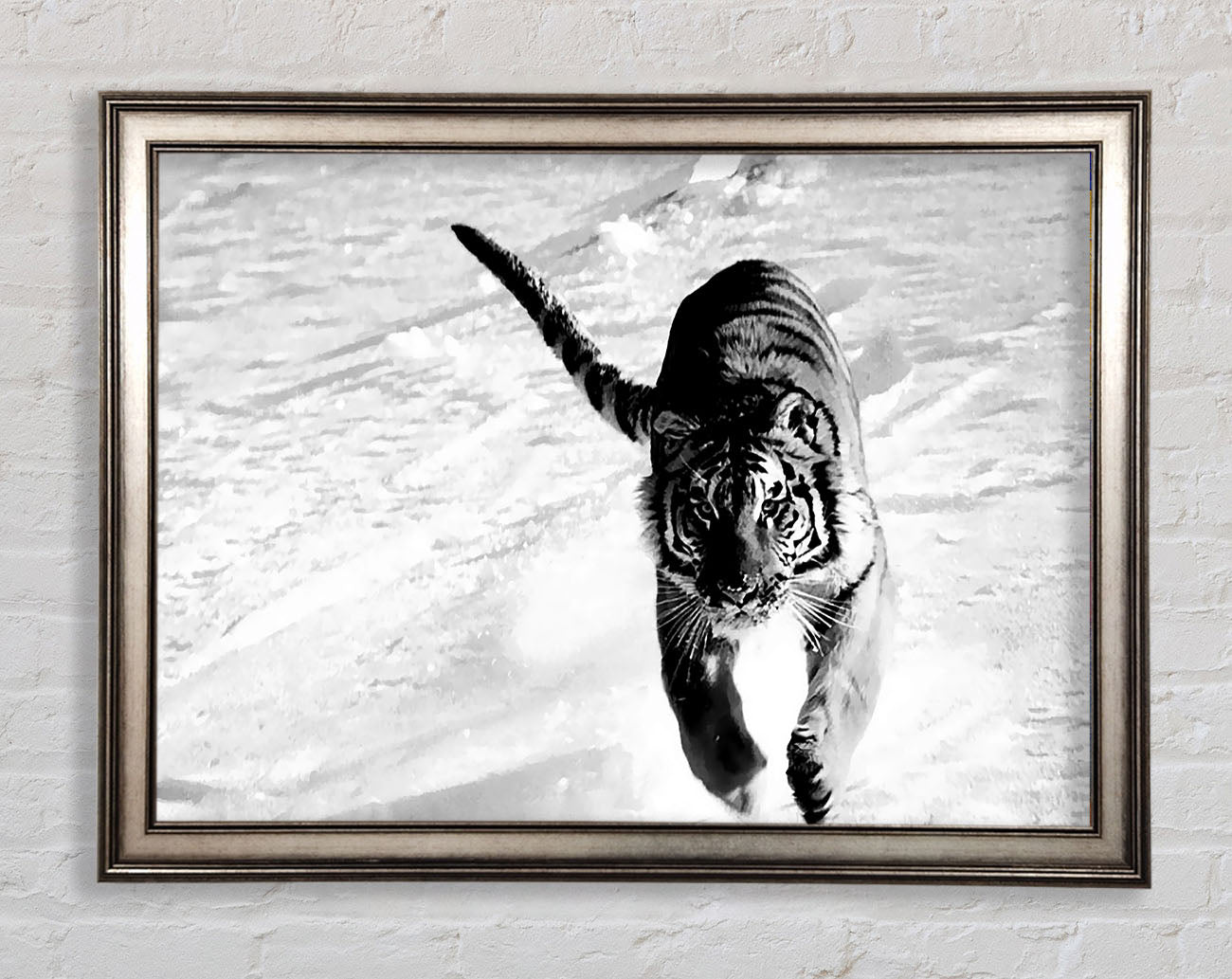 Tiger Running In Snow Framed Print