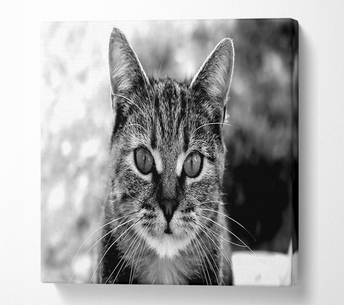 Whiskers Canvas Wall Art