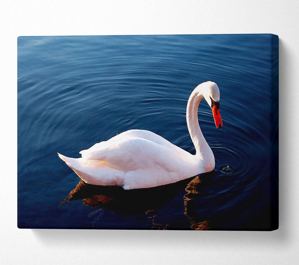 White Swan In Water Canvas Wall Art