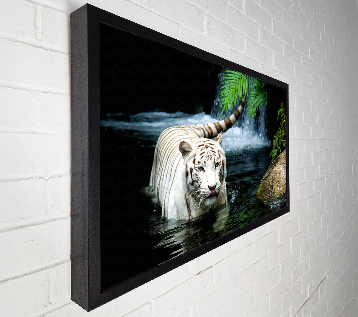 White Tiger Beautiful Canvas Wall Art
