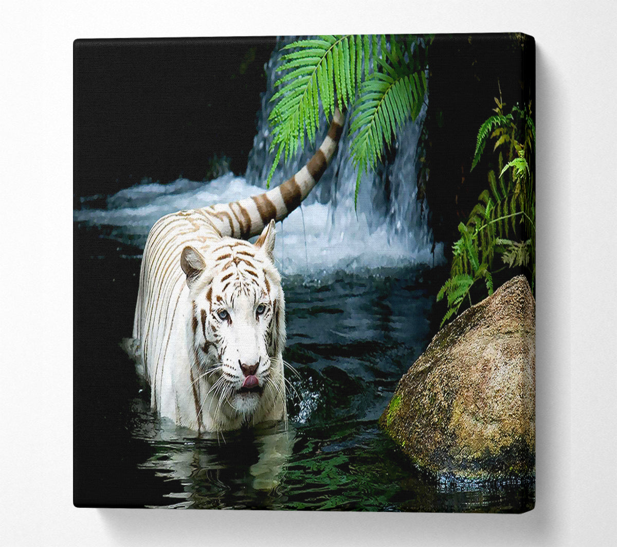 White Tiger Beautiful Canvas Wall Art