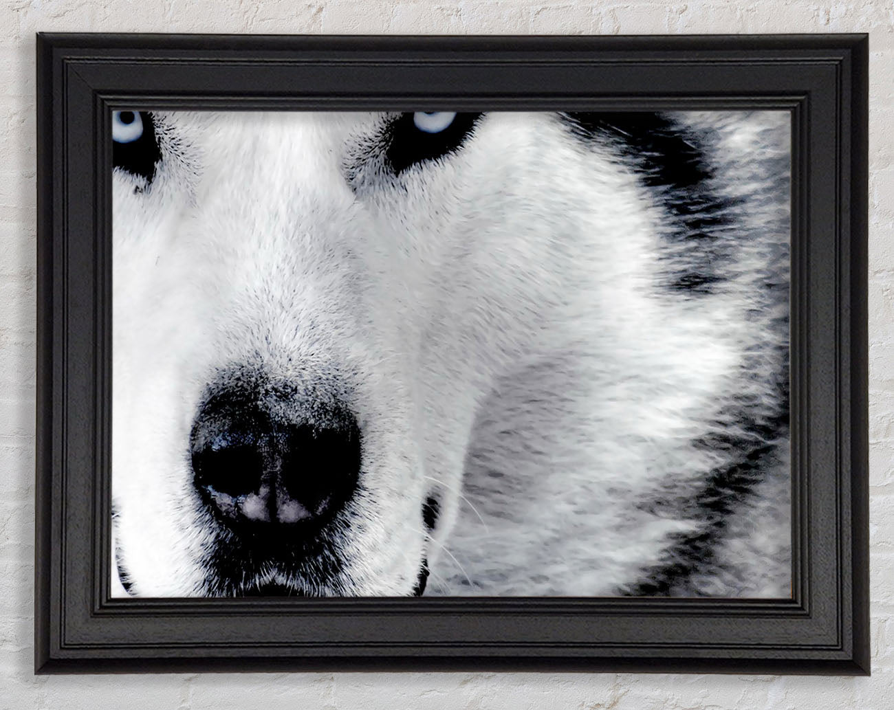 Wolf Eyes Framed Print