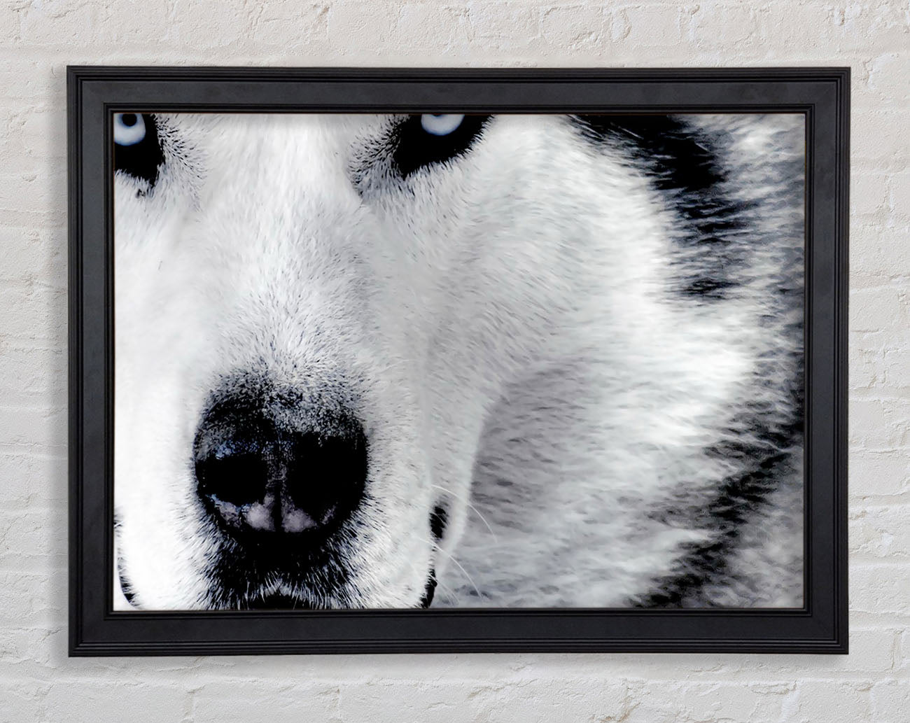 Wolf Eyes Framed Print