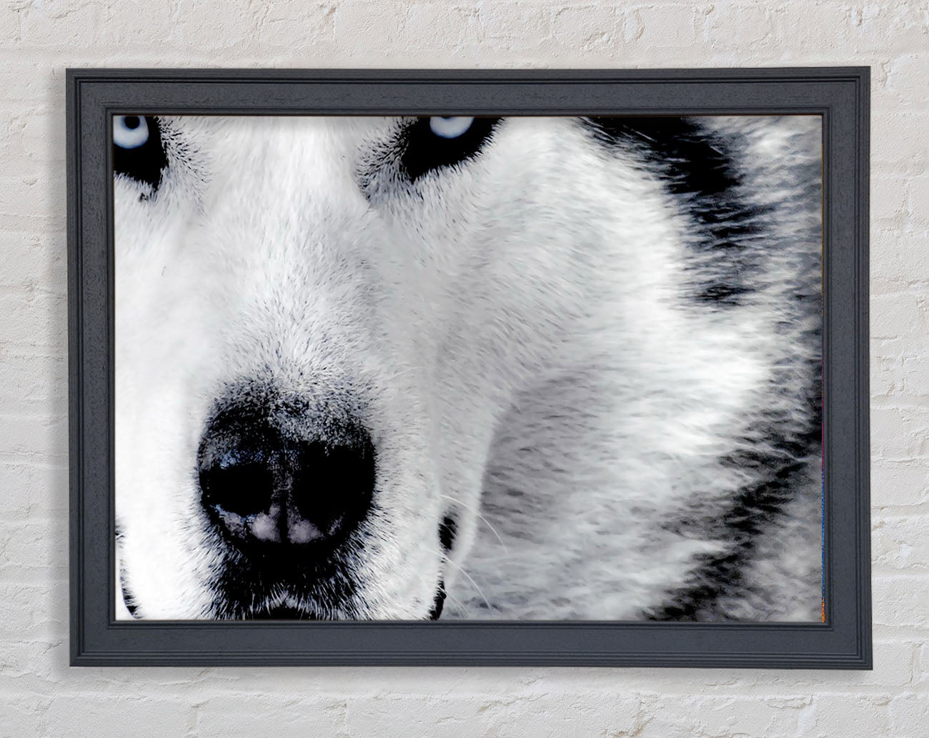 Wolf Eyes Framed Print