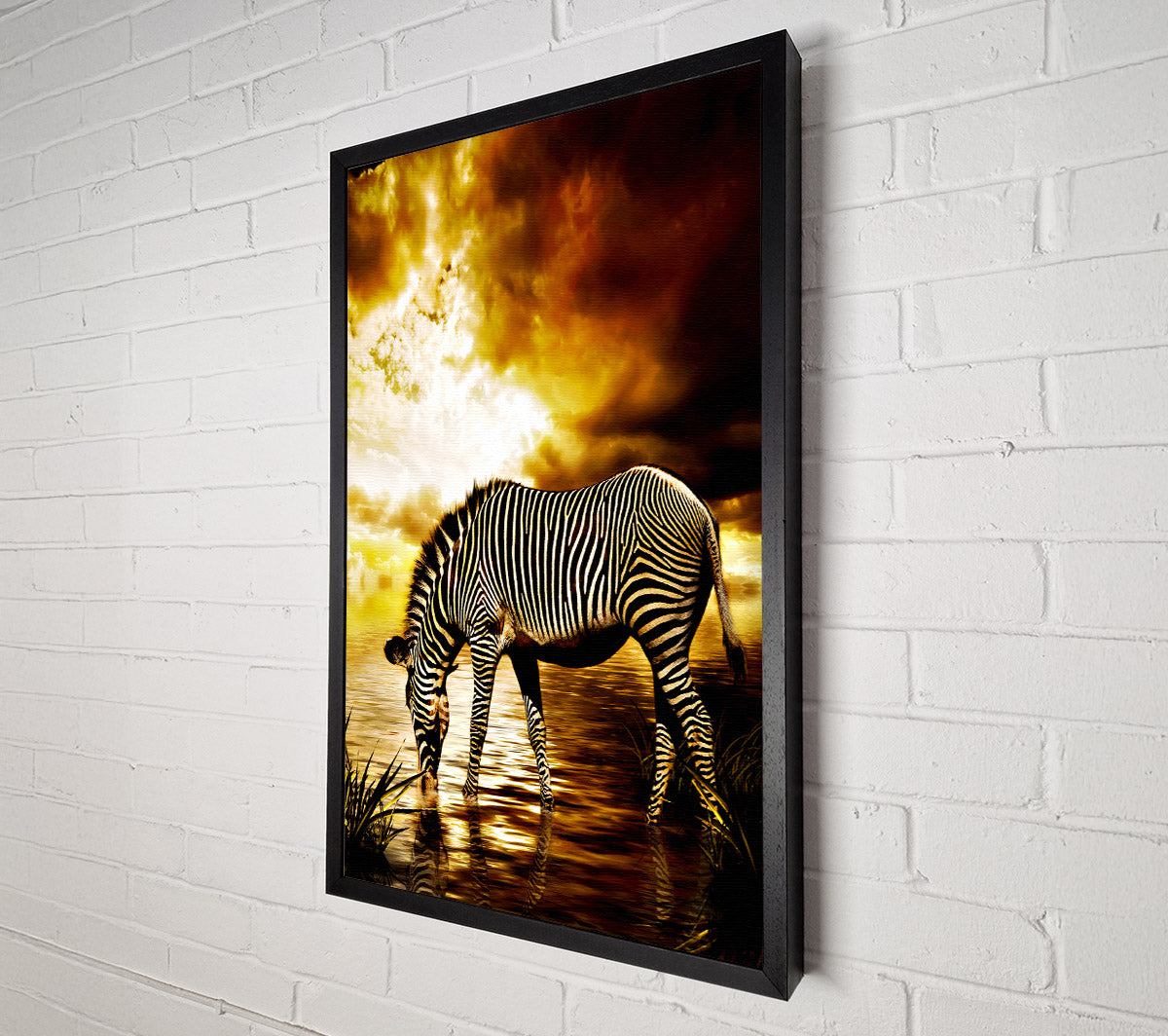 Zebra In The Golden River Canvas Wall Art