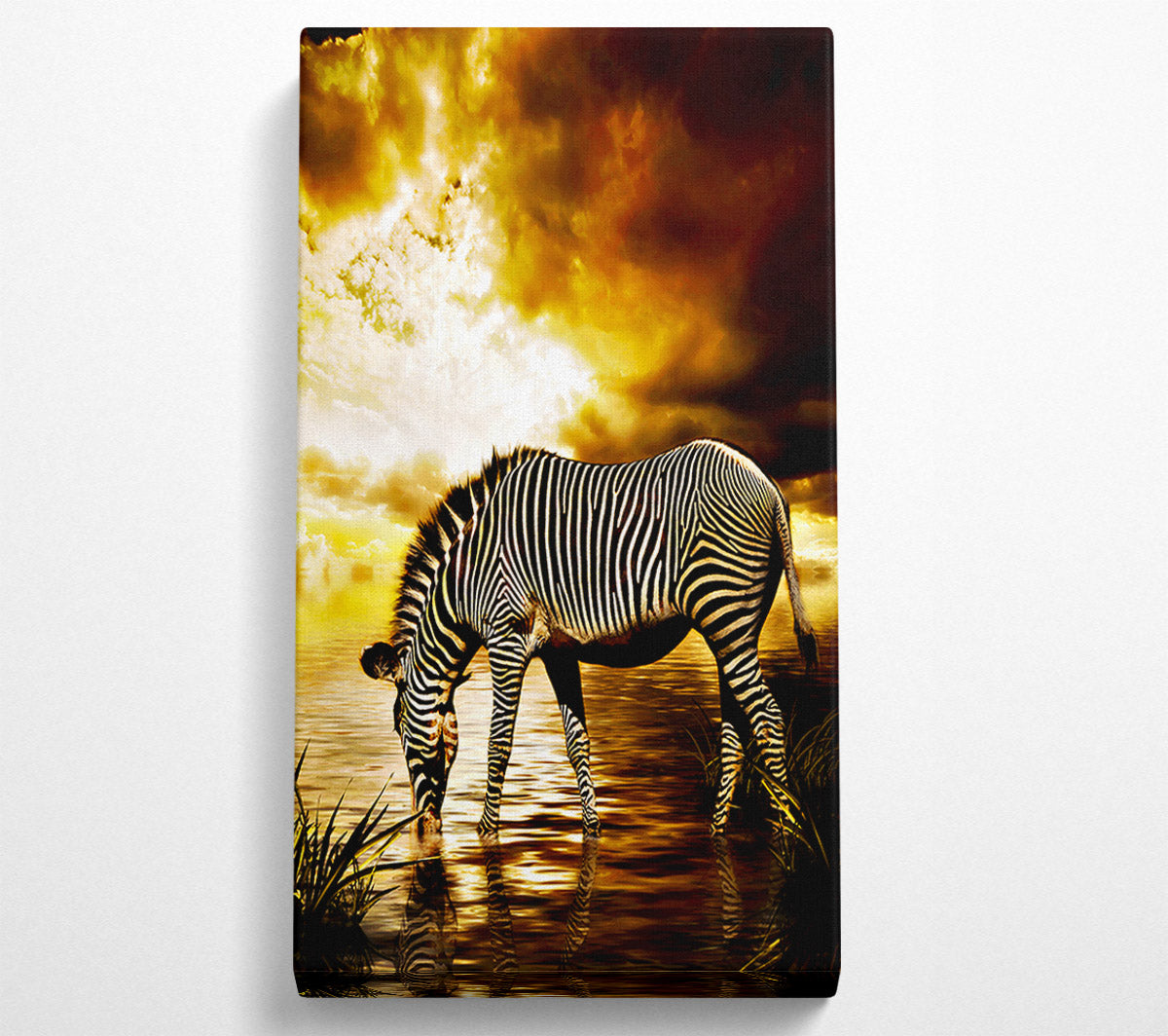 Zebra In The Golden River Canvas Wall Art