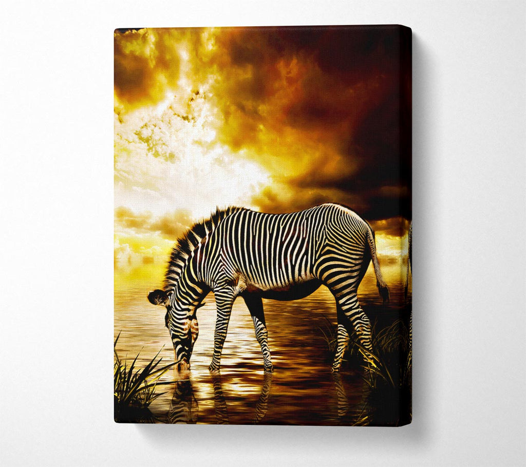 Zebra In The Golden River Canvas Wall Art