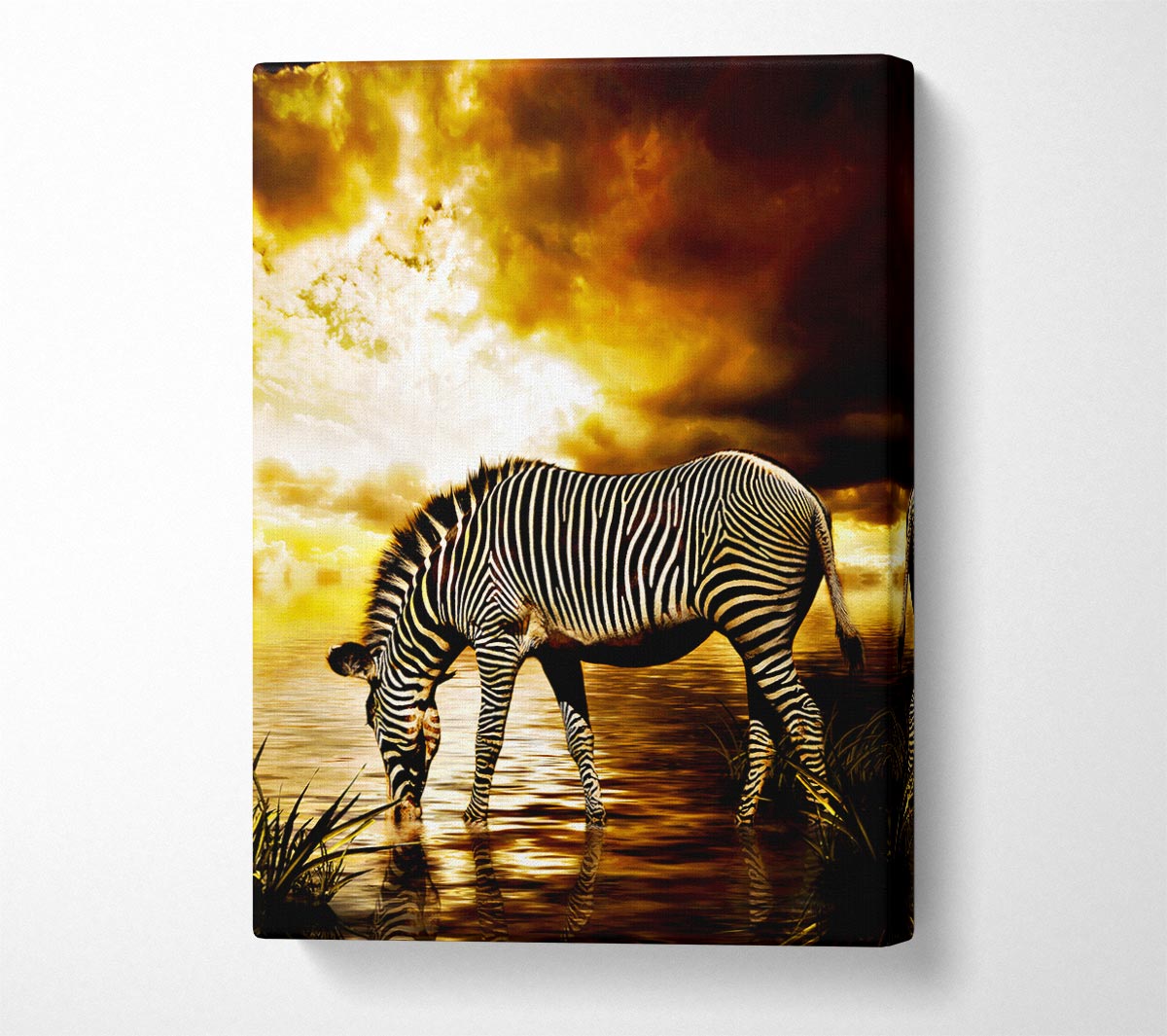 Zebra In The Golden River Canvas Wall Art