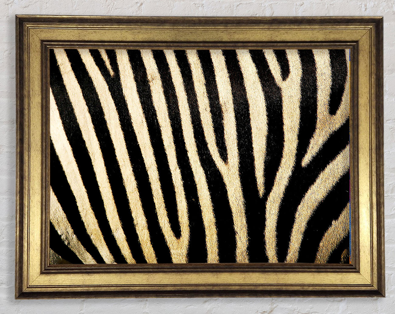 Zebra Pattern Framed Print