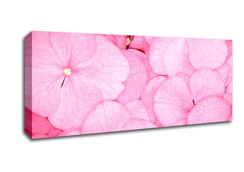 Bed Of Petals
