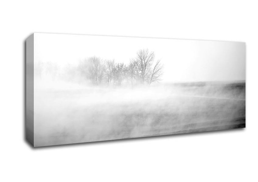 Absorption B n W