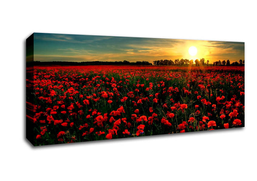 Red Flower Garden