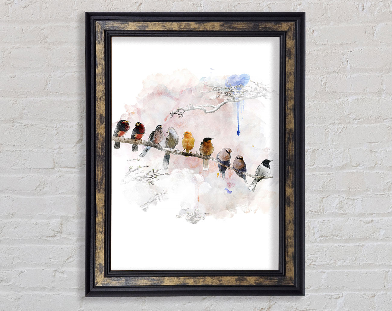 Bird Gossip Framed Print