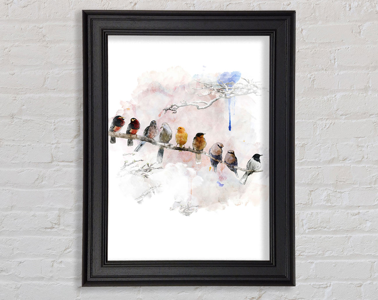 Bird Gossip Framed Print