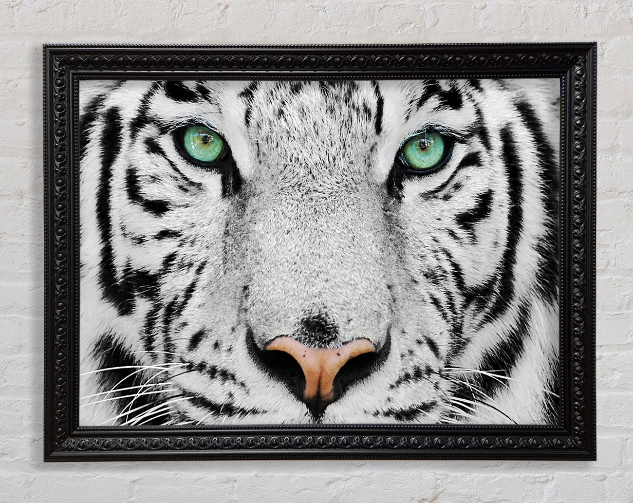Green Eyed White Tiger Framed Print