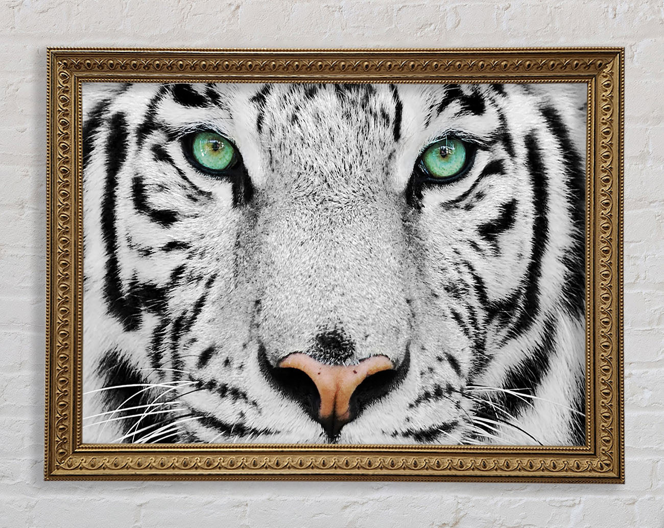 Green Eyed White Tiger Framed Print