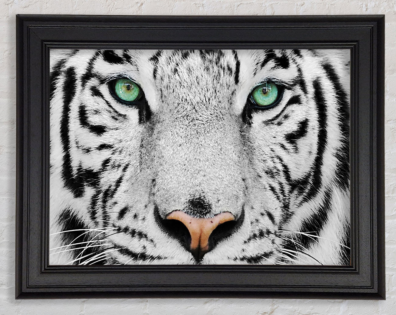 Green Eyed White Tiger Framed Print