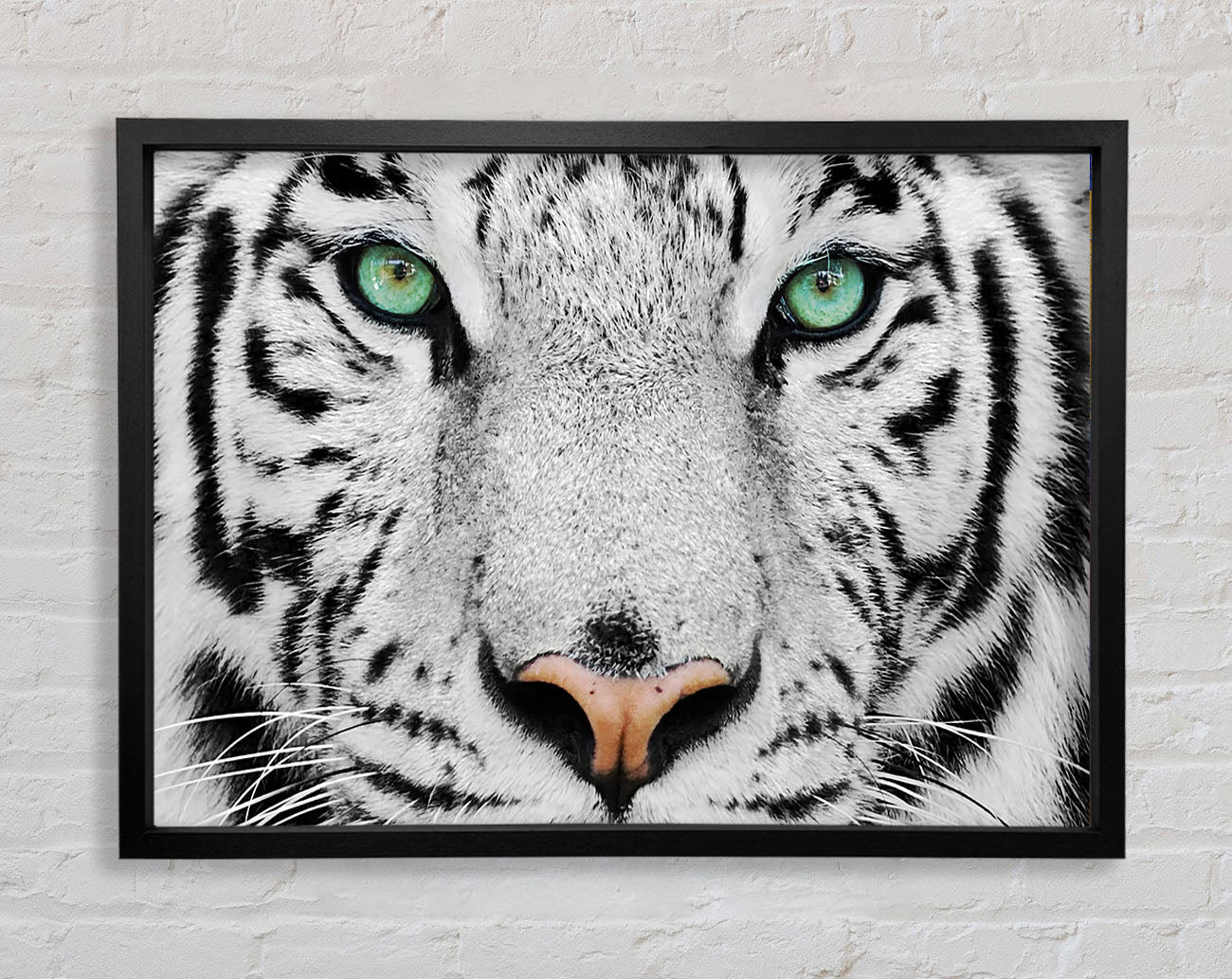 Green Eyed White Tiger Framed Print