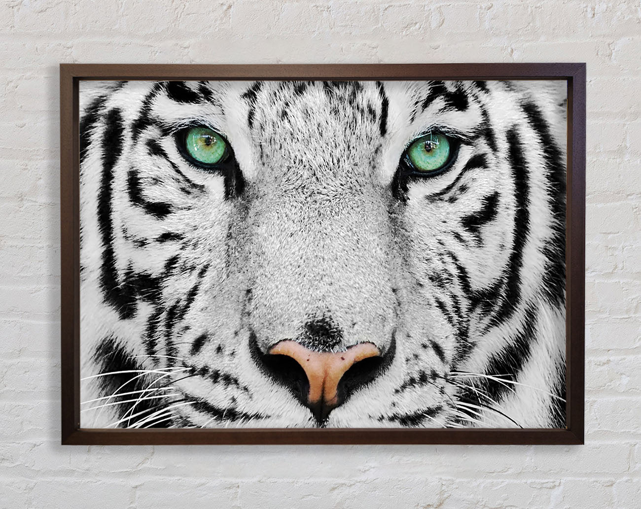 Green Eyed White Tiger Framed Print