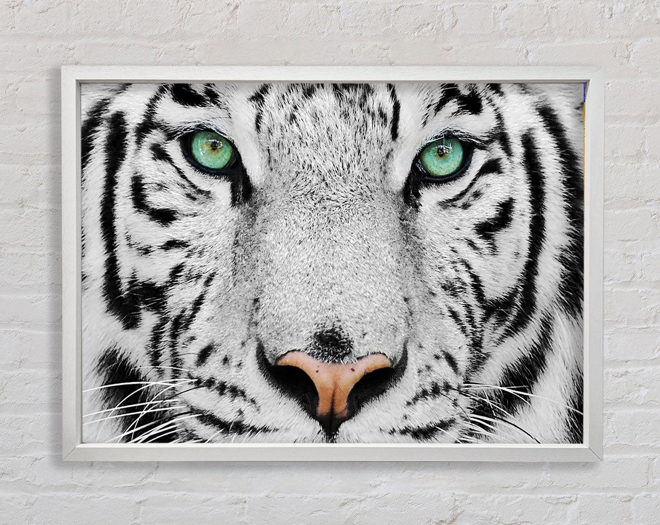 Green Eyed White Tiger Framed Print