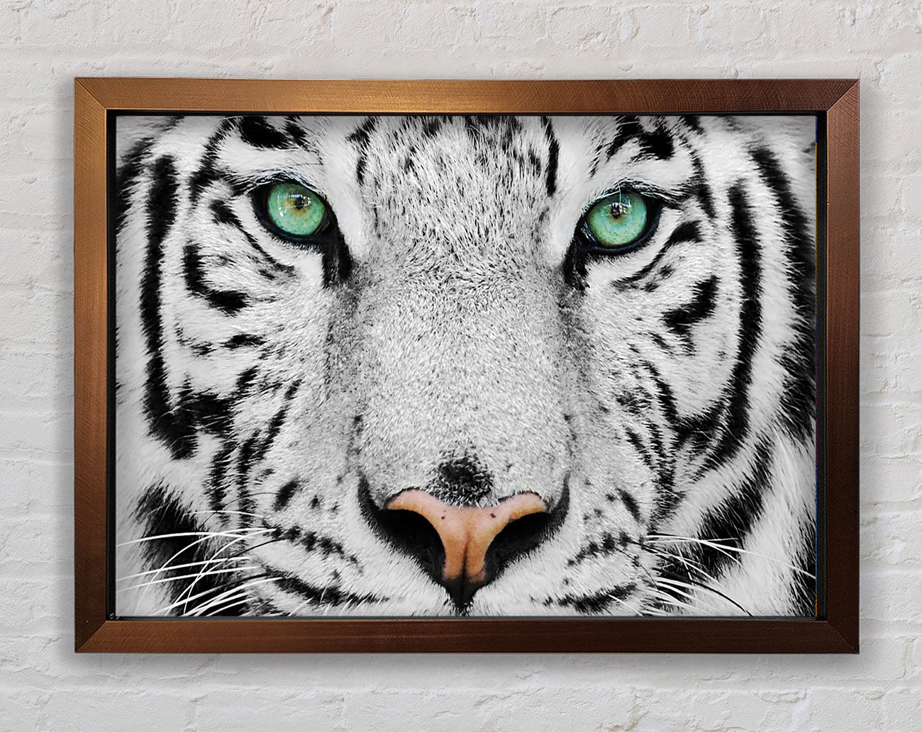 Green Eyed White Tiger Framed Print