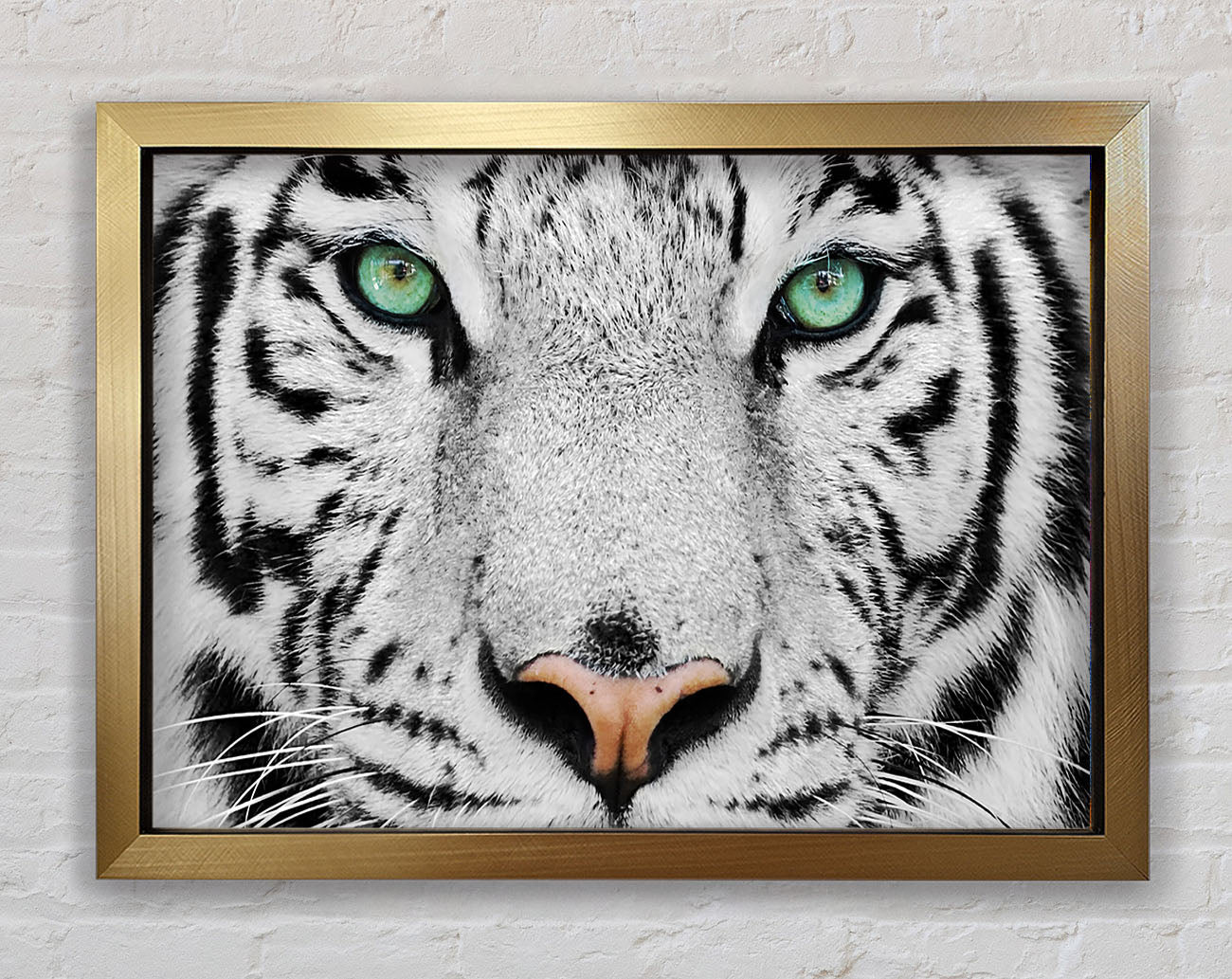 Green Eyed White Tiger Framed Print
