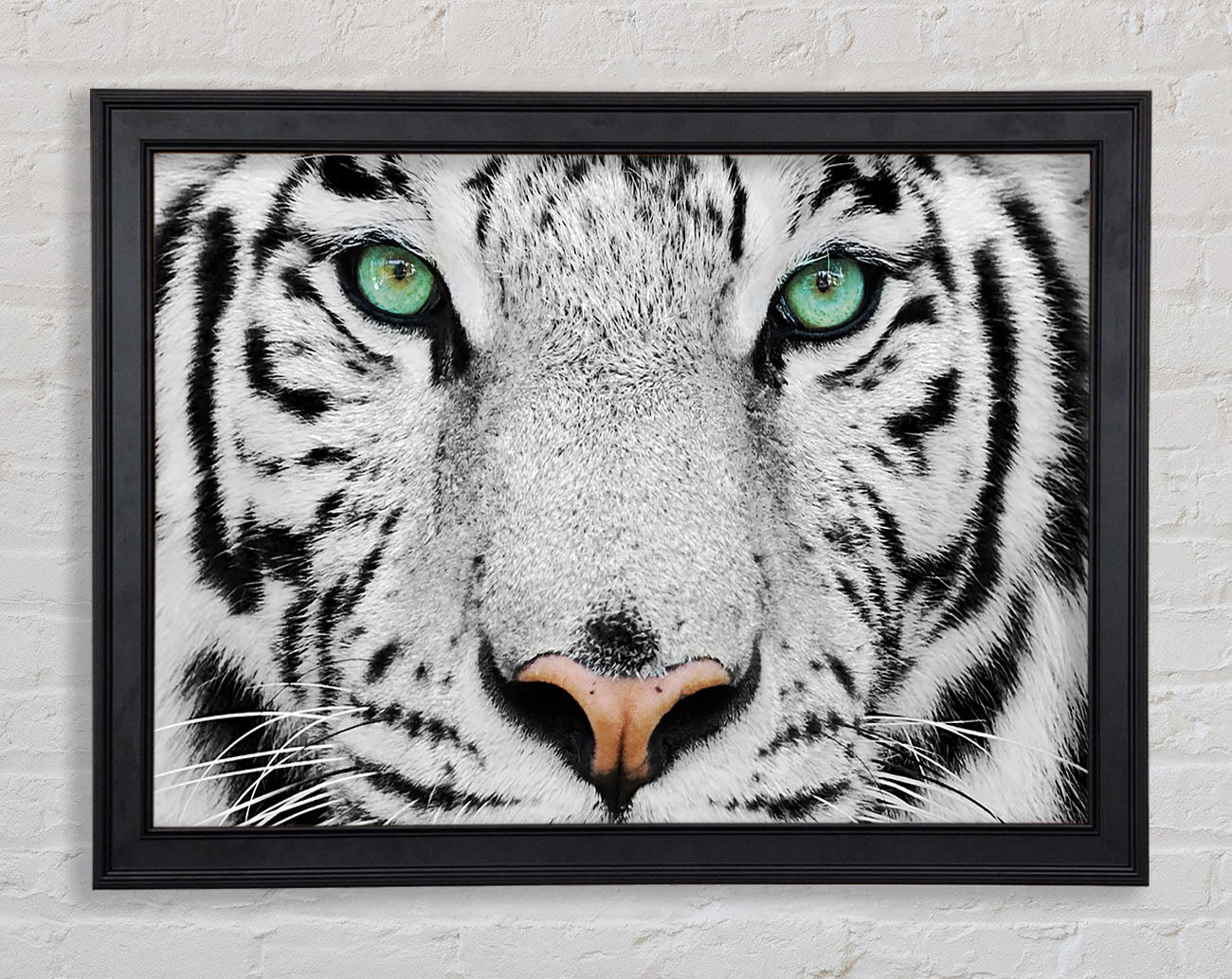 Green Eyed White Tiger Framed Print