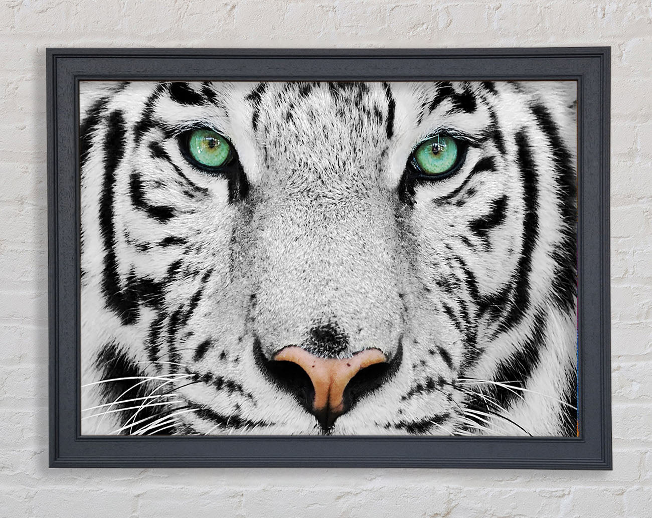 Green Eyed White Tiger Framed Print