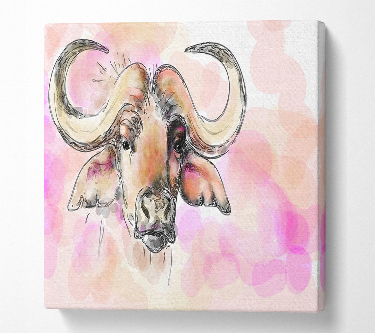 Texas Longhorn Cow Canvas Wall Art