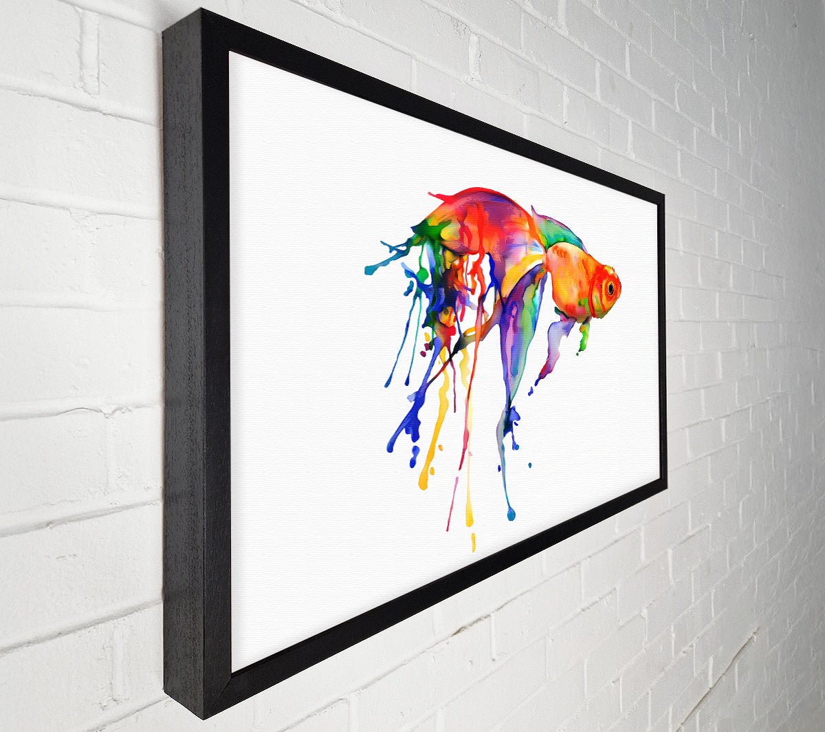 Rainbow Goldfish Canvas Wall Art
