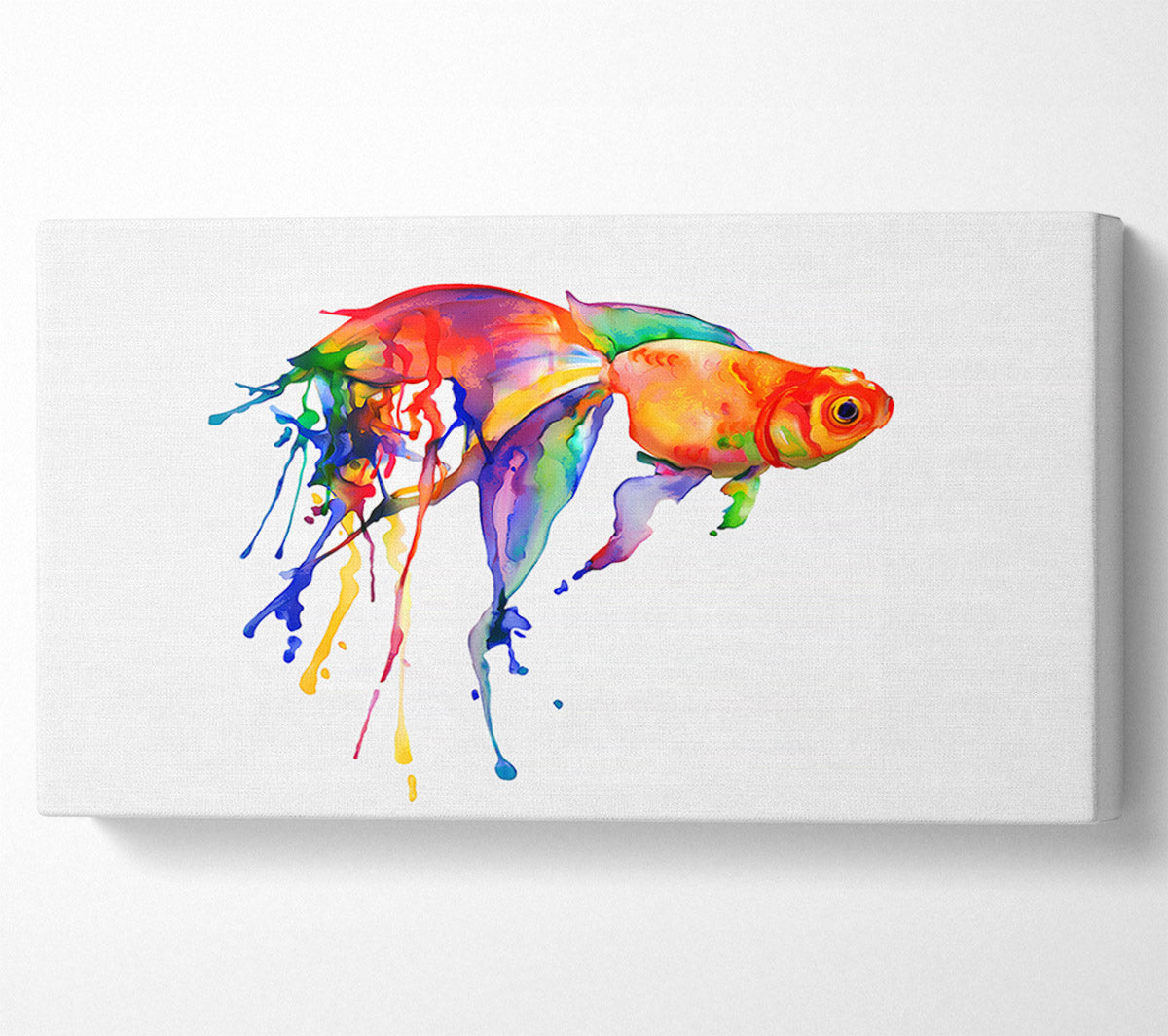Rainbow Goldfish Canvas Wall Art