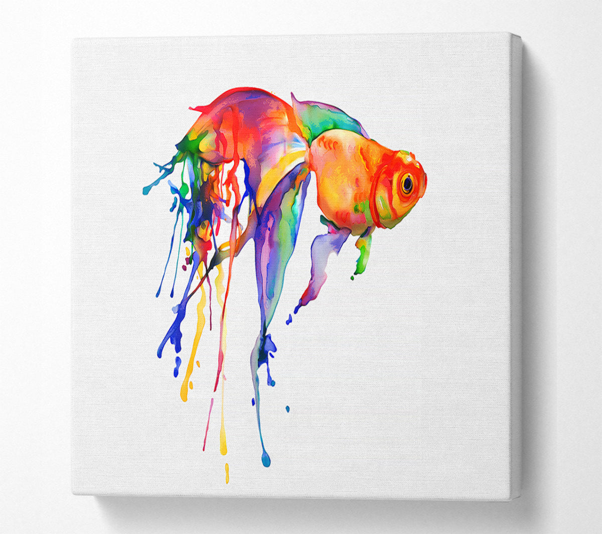 Rainbow Goldfish Canvas Wall Art