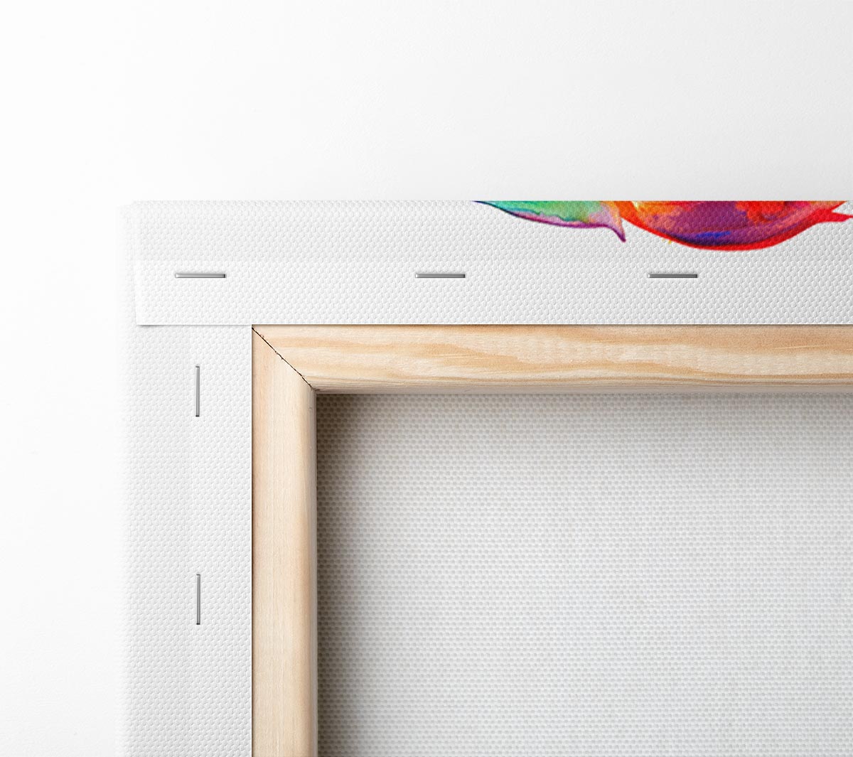 Rainbow Goldfish Canvas Wall Art