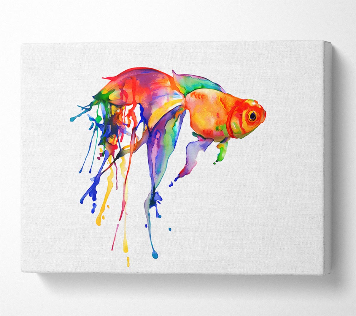 Rainbow Goldfish Canvas Wall Art