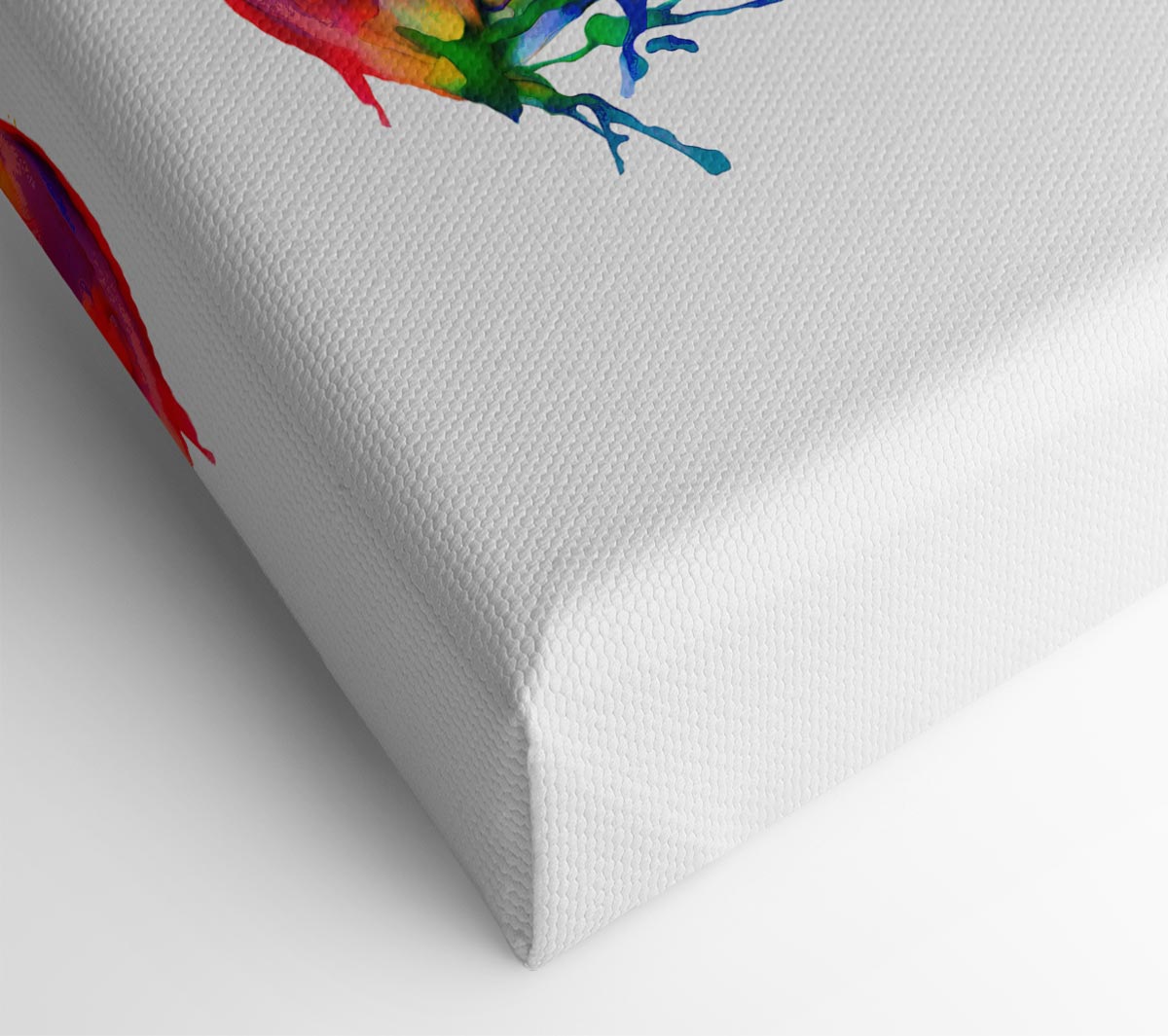 Rainbow Goldfish Canvas Wall Art
