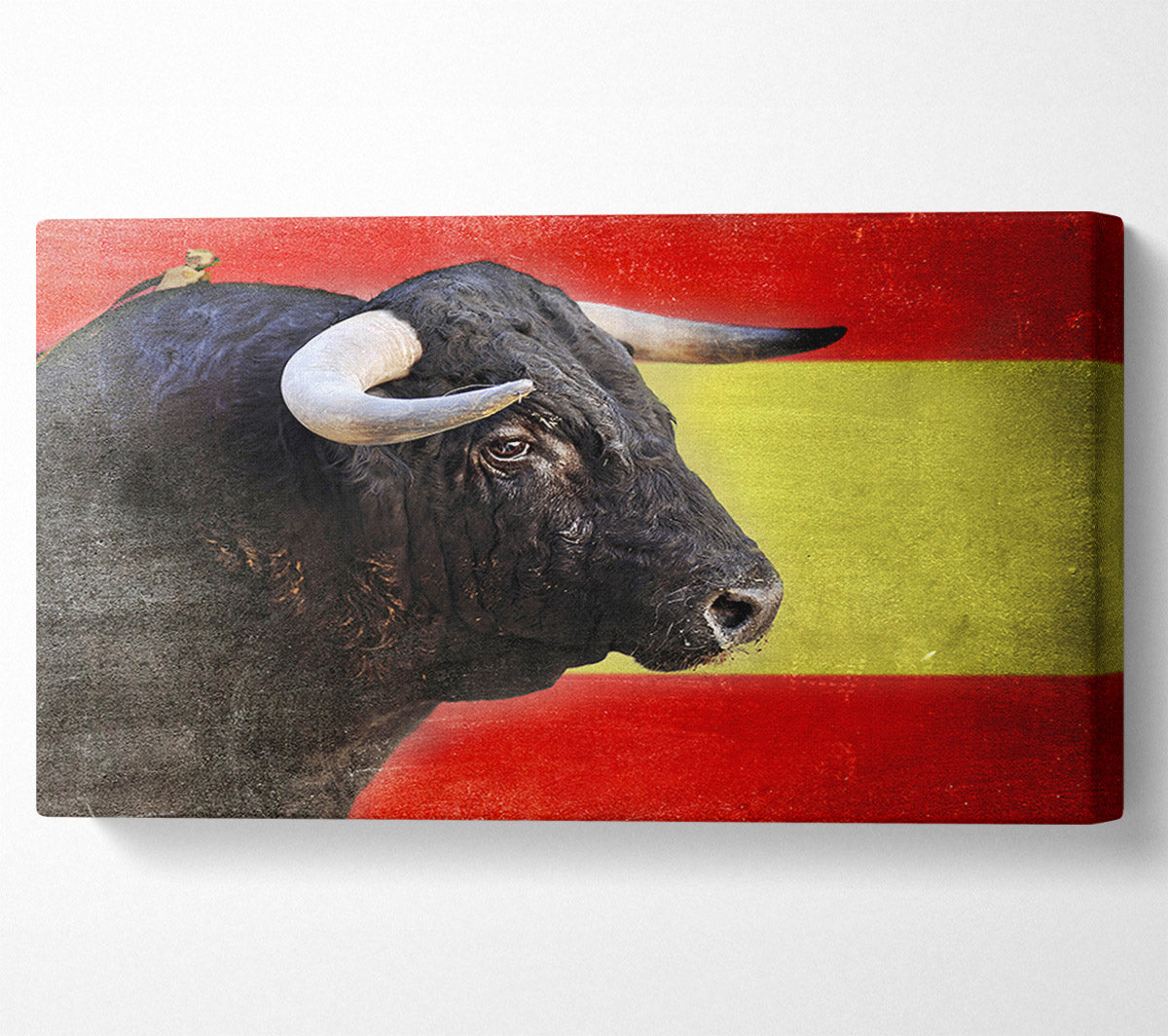Spanish Bull Canvas Wall Art